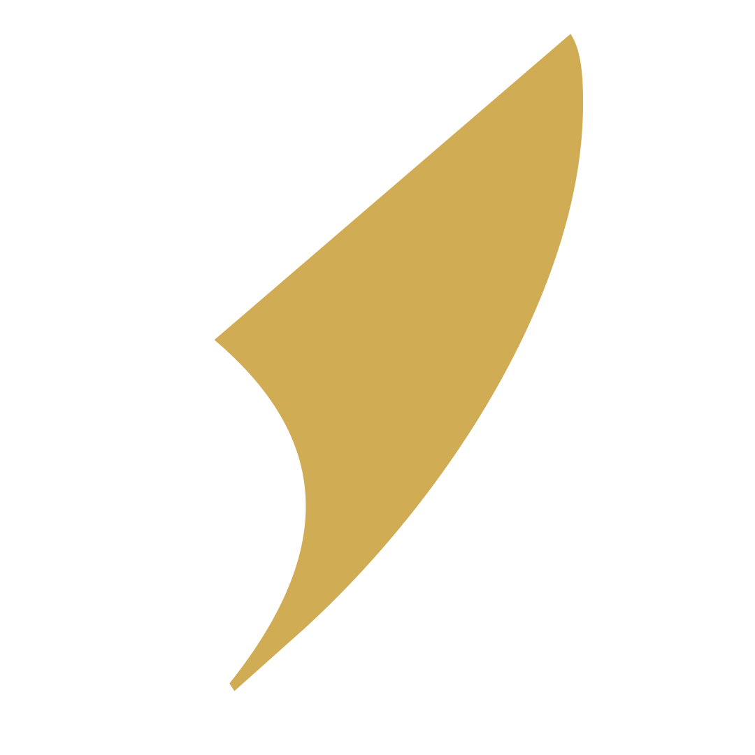 Symbole doré de L’Annexe – apostrophe en forme de plume
